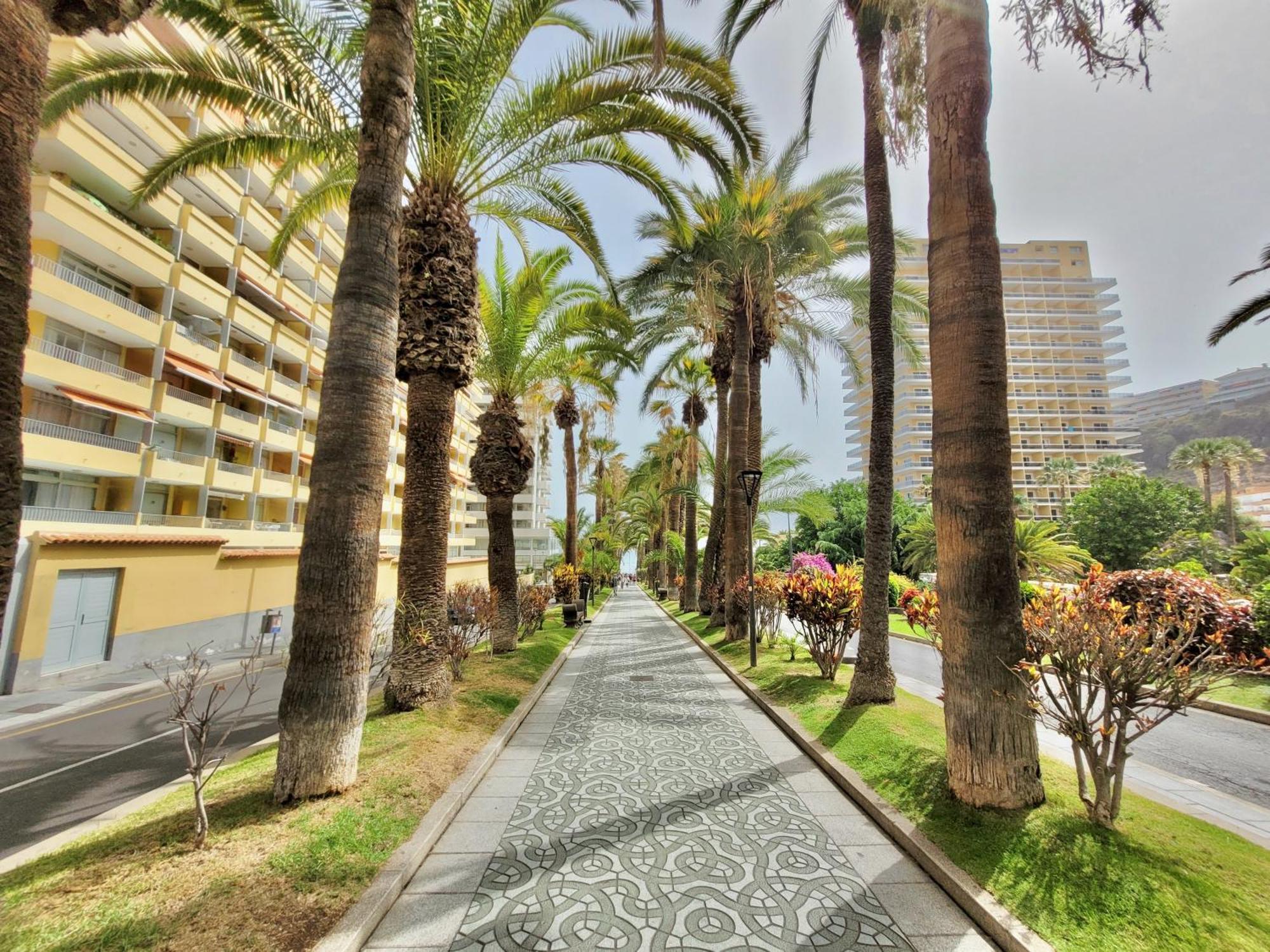 Alta Beachside Apartments Puerto de la Cruz  Eksteriør bilde